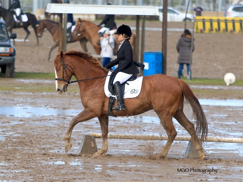 Dressage!