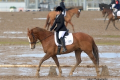Dressage!