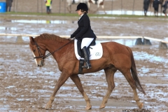 Dressage!
