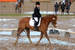 Dressage!