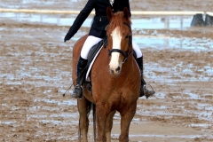 Dressage!